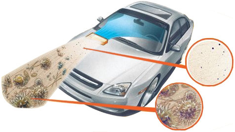 Dirt, Dust, A/C, Pollen - Cabin Air Filter A/C Smell